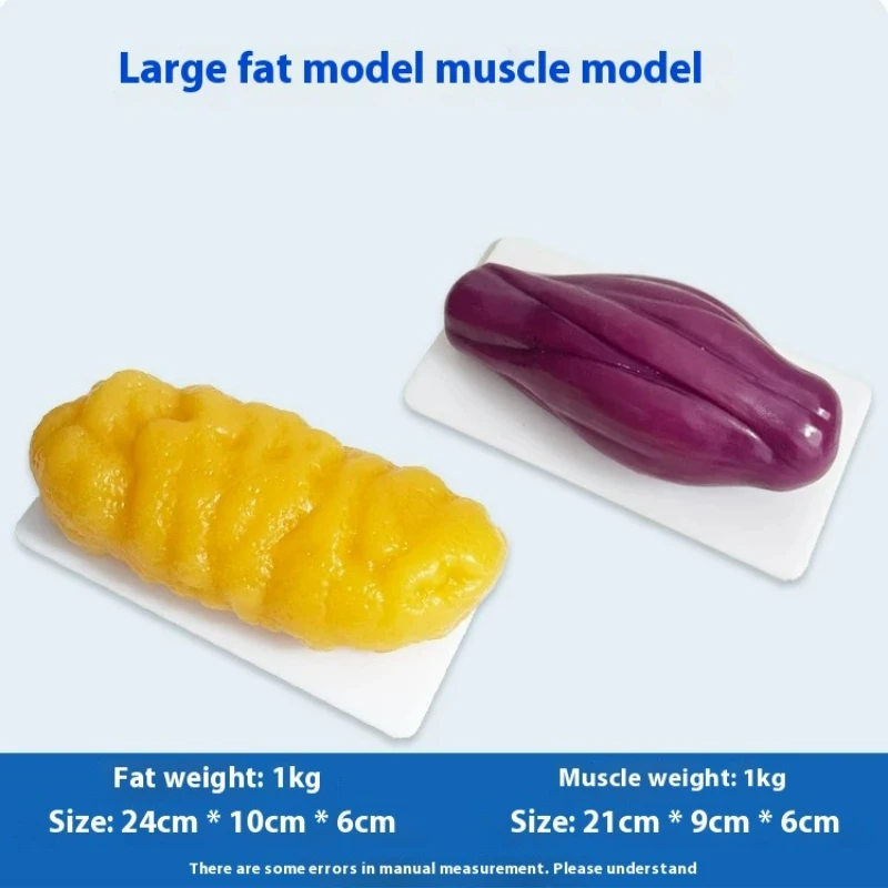Human Muscle and Fat Replicas  - огляд і ціна Nutrition In Fitness