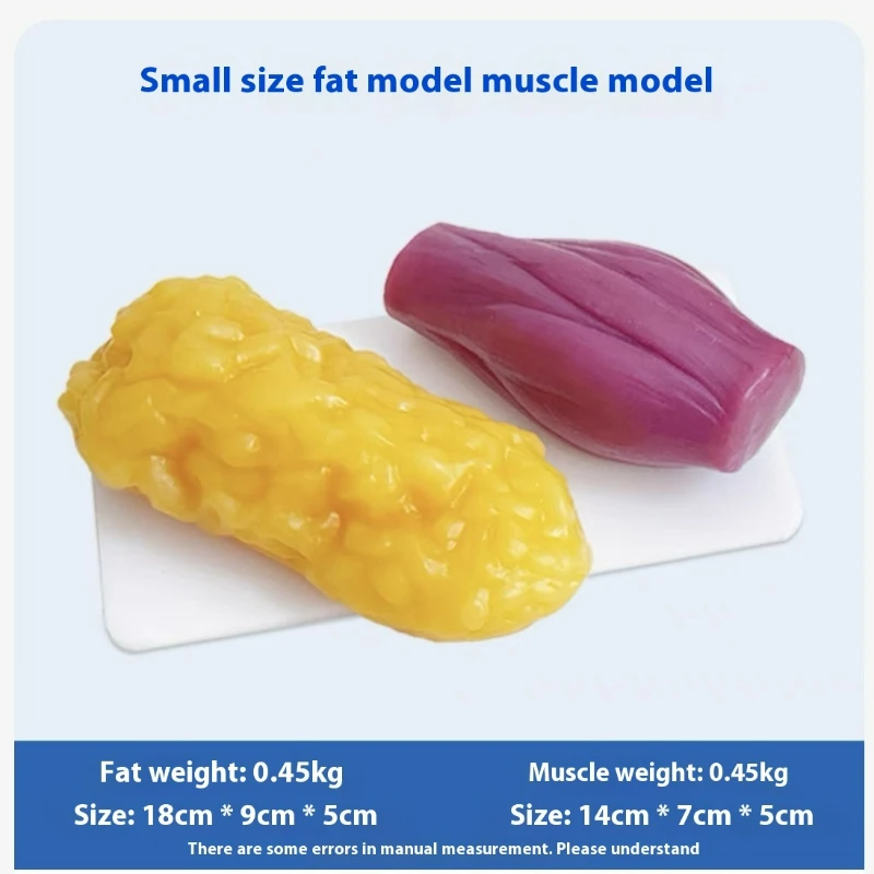 Human Muscle and Fat Replicas  - огляд і ціна Nutrition In Fitness
