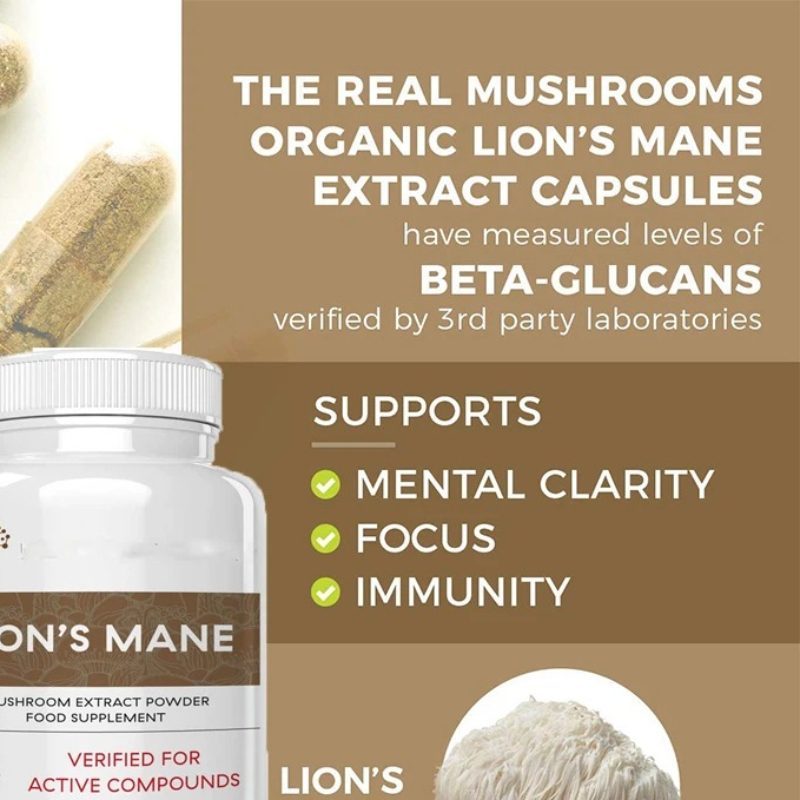 Lion Mane Ganoderma Mushroom C - огляд і ціна Lion Mane Mushroom